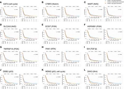 Identification of genes from ten oncogenic pathways associated with mortality and disease progression in glioblastoma